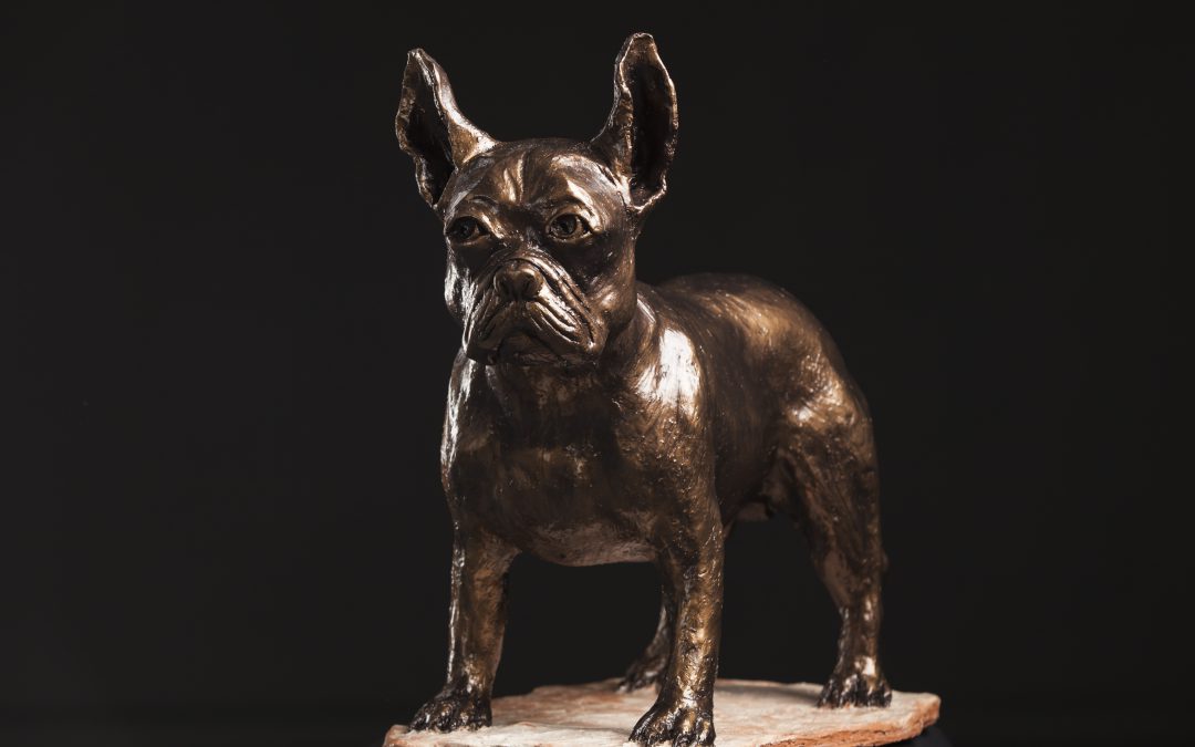 Franse Bulldog