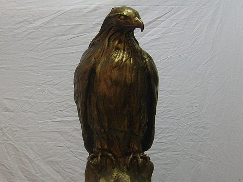 Roodstaart buizerd